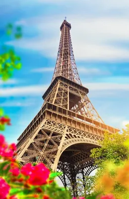 Бесплатные Париж весной стоковые фотографии | FreeImages