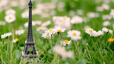 Париж ранней весной. / В одном из парков Парижа в конце марта зацвели  тюльпаны