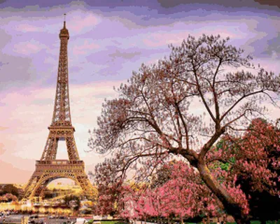 Картина по номерам \"Весна в Париже\" (400х500 мм) OZ : купить в  интернет-магазине — OZ.by