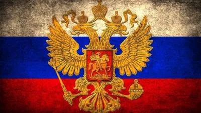 Общественники ДНР ко Дню России раздадут национальные флаги и патриотические  нашивки - Россия - ДАН