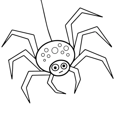 Отражения гигантского паука - Черно-белый постер с пауком - Sinister.se