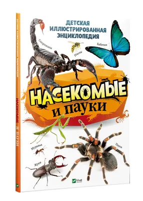 Сердечко Человек паук детская футболка с коротким рукавом (цвет: небесный)  | Все футболки интернет магазин футболок. Дизайнерские футболки, футболки  The Mountain, Yakuza, Liquid Blue