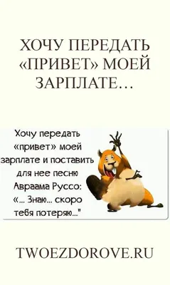 Владимир Путин попросил передать привет погибшим в Украине российским  военнослужащим - Видео | Postfuctum.info