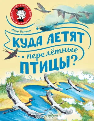 Картинки окружающий мир детям птицы (68 фото) » Картинки и статусы про  окружающий мир вокруг