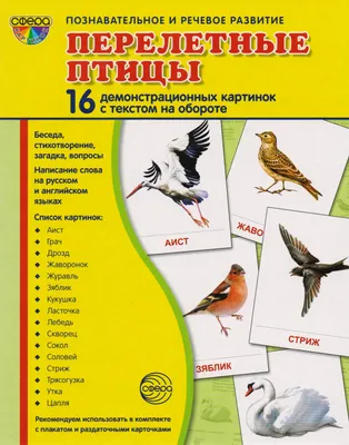 Картотека предметных картинок. Выпуск 9. \"Домашние, перелетные, зимующие  птицы\" - купить в интернет-магазине Игросити