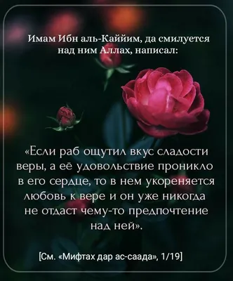 20 шт. розовое золото переливающиеся салфетки «сделай сам» гирлянды с  кисточками для детского душа девичник свадьба день рождения украшения  поставки – лучшие товары в онлайн-магазине Джум Гик