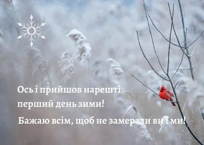 Красиві привітання з першим днем зими — проза, вірші, листівки, картинки,  статуси і приколи — Різне