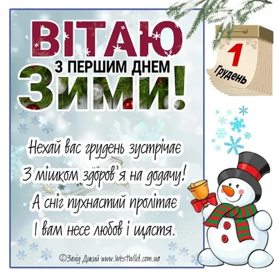 Первый день зимы — красивые поздравления на 1 декабря 2023, стихи, проза,  открытки, картинки / NV