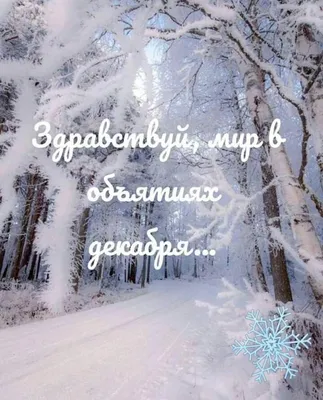 З першим днем зими: красиві привітання та зимові картинки - newsme.online