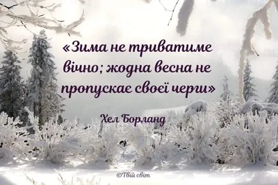 MioCaffeina - Перший день зими - це початок нової казки, адже саме взимку  трапляються чудеса! ⛄❄🎄 Особливо чарівно горять вогники, будинок  наповнюється магією затишку і тепла, мороз малює картини на склі, а