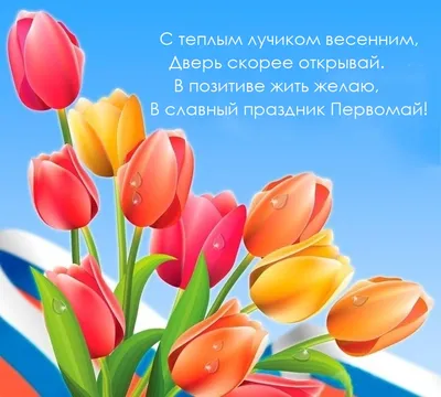 Первомай-2023 пройдет под девизом: «Солидарность трудящихся — единство  страны!» Профсоюзы Ярославской области