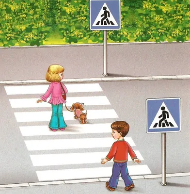 ПДД для детей: какие дорожные знаки и правила дорожного движения должны  знать дети