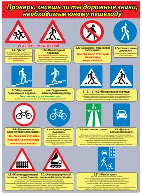 Набор элементов для пешеходных правил для девочек детей через дорожный знак  огней дорожного движения, чтобы остановить и идти Иллюстрация вектора -  иллюстрации насчитывающей иллюстрация, направление: 198491803