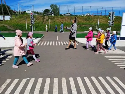 Рисунок зебра - пешеходный переход №47489 - «Правила дорожного движения  глазами детей» (22.12.2023 - 15:13)