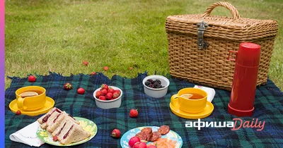 Как правильно собраться на пикник: инструкция на все случаи жизни, что  купить, что приготовить, можно ли пить на пикнике - Афиша Daily