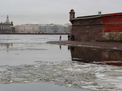 Санкт-Петербург в марте — отзывы туристов с фото | Туристер.Ру | Дзен