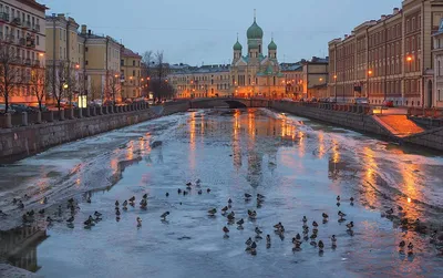 Санкт-Петербург Питер - Новости - 📆На календаре 6 марта, на часах - 9:33  Погода в Питере на сегодня: ☁️Утром: −9…−4 🌨️Днём −2…−1 🌨️Вечером −2…−1  ☁️Ночью −3…0 📷kvant_man | Facebook