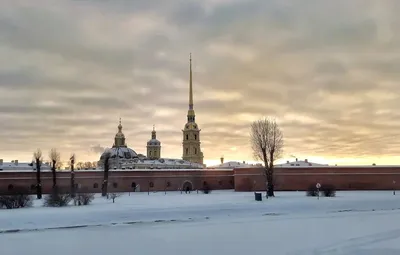 С начала марта солнце светило в Петербурге рекордные 120 часов | ОБЩЕСТВО |  АиФ Санкт-Петербург