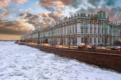 Последние новости в Санкт-Петербурге на 4 марта 2022 года: арест  руководителя «Петростроя» и 10 тонн цветов перед 8 марта - KP.RU