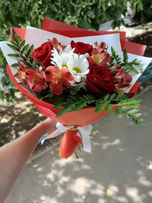 Пламенный привет, Цветы и подарки в Санкт-Петербурге, купить по цене 2700  RUB, Монобукеты в AriaFlori с доставкой | Flowwow
