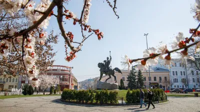 В Гидрометцентре спрогнозировали изменчивую погоду в начале весны -  Российская газета