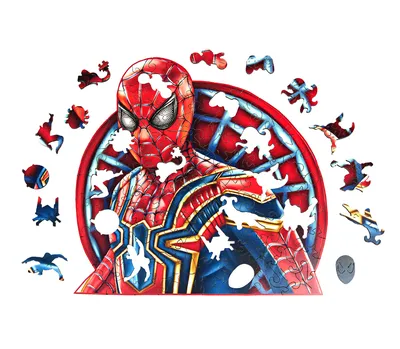 Карнавальный костюм человека паука Movie Trend 27080097 купить за 186 100  сум в интернет-магазине Wildberries