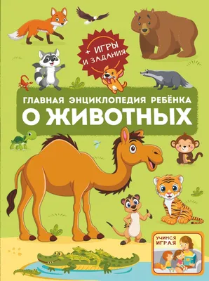 7 удивительных животных, которые могли навсегда исчезнуть (но их спасли) |  Портал «Европульс»