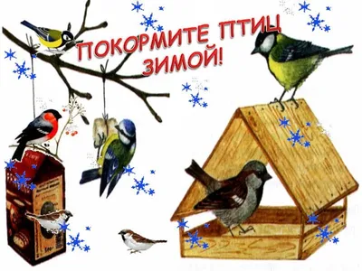 Экологическая акция «Покормите птиц зимой — 2023» — МАДОУ Детский сад № 14  г.Липецка