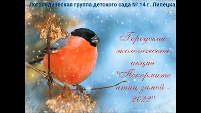 Покормите птиц зимой» | 13.11.2023 | Омск - БезФормата