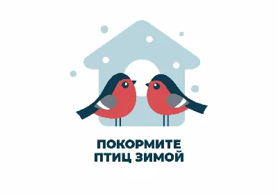 Покормите птиц зимой\" - Новости учреждения - Детский сад №28 г.Мозыря
