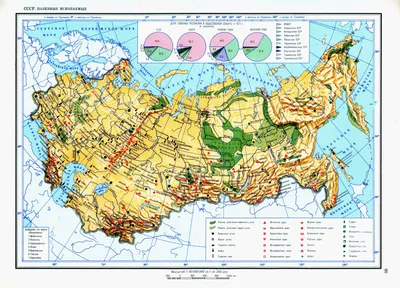 СССР: карта полезных ископаемых (Учебный атлас мира, 1974). | Карта,  Ископаемые, Геология