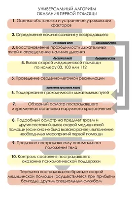 Как незаметно позвать на помощь, если вы оказались в критической ситуации -  Инфографика ТАСС