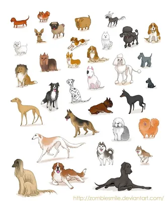 Картинки винтажные самоклеющиеся Породы собак 30 шт. (Y370) купить в  интернет-магазине Мосантик