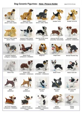 Различные породы собак стоковое фото ©belchonock 70860217