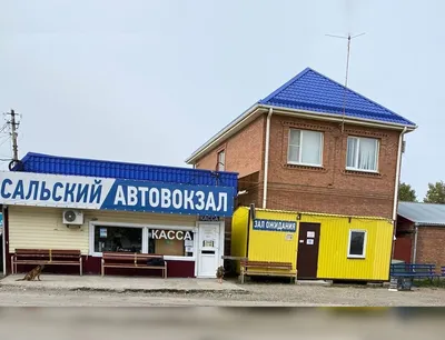 Фотоохота и рыбалка на Весёловском водохранилище в Ростовской области |  ТУРИСТОЧКА | Дзен