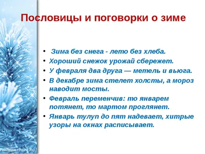 Проект «Зимушка. Зима» для детей старшего дошкольного возраста (1 фото).  Воспитателям детских садов, школьным учителям и педагогам - Маам.ру