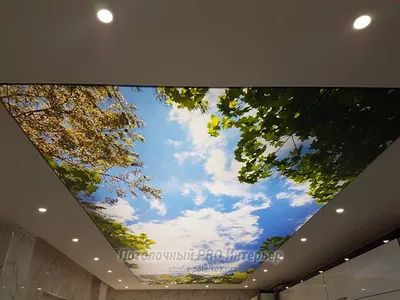 Натяжные потолки 3Д по доступной цене | City Ceiling