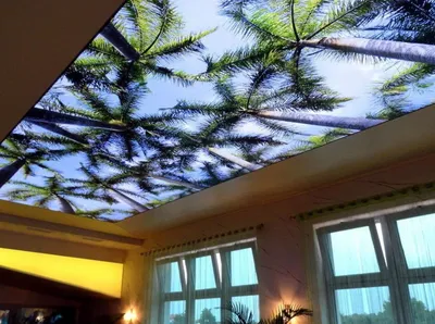 Натяжные потолки с рисунком 3D купить недорого в Казани, заказать натяжной потолок  3Д с установкой — компания «EcoStyle»