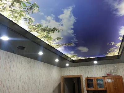 Купить 3D натяжной потолок без швов в Москве | Бесшовные модели натяжных 3Д  потолков по низким ценам