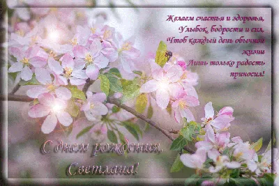 С днем рождения Светлана Васильевна открытки - 73 фото