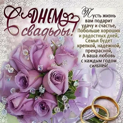 Поздравление с днем свадьбы молодоженам: стихи, проза, открытки - МЕТА
