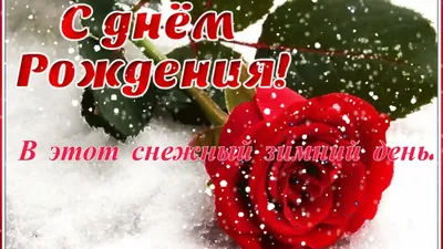 С днем рождения, Инна (Гражданка Шилова)! — Вопрос №744994 на форуме —  Бухонлайн