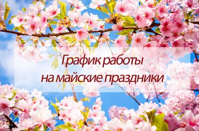 Расписание занятий на май 2016 | www.suncity-center.ru