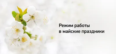 Поздравляем с МАЙСКИМИ ПРАЗДНИКАМИ! | Нотариальная палата Тверской области