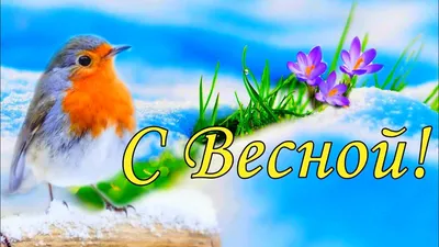 С первым днем весны: поздравления с весной, картинки и открытки | OBOZ.UA