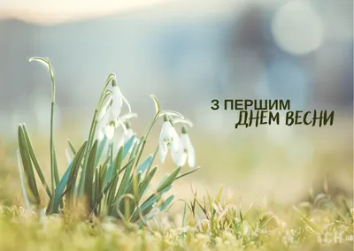 С первым днём Весны! - Поздравления - Форум кладоискателей MDRussia.ru