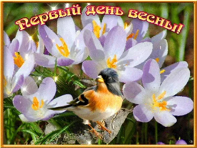 С первым днем весны 2021 - картинки с началом весны, открытки и поздравления  с 1 марта — УНИАН