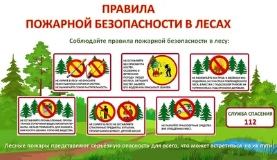 Пожарная безопасность в СНТ: правила, требования, нормы » Официальный сайт  МО Белоостров