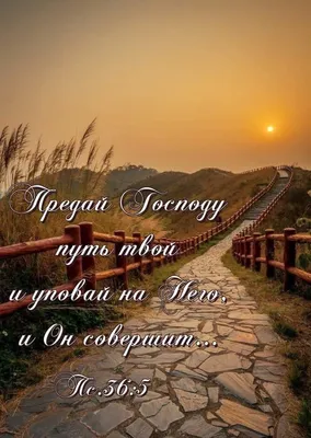 Ангела Вам в дорогу 😇🤗😇🤗😇🤗 Счастливого пути🌹🌹🌹#счастливогопут... |  TikTok