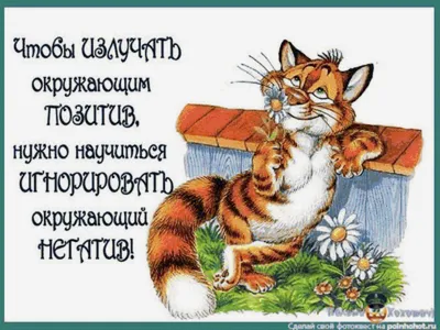 ДОБРОЕ 🌈🌂😸 ☔💐 УТРО! 💐 ПОЗИТИВЧИК! 🌿 | Дождливое утро, Доброе утро,  Милые открытки